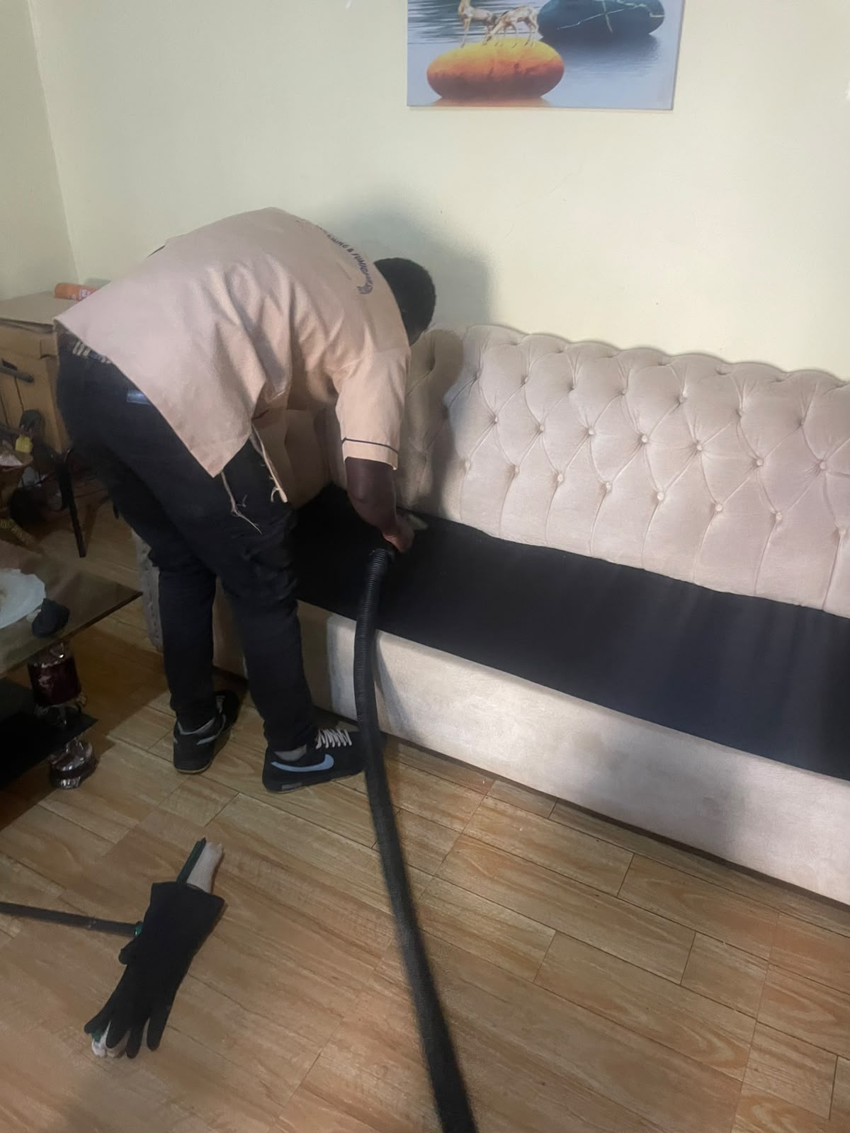 Sofa cleaning project